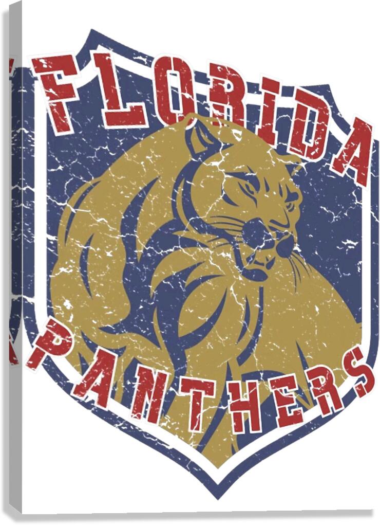Florida Panthers 13 Canvas Print