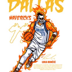Dallas Mavericks 29