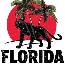 Florida Panthers 16