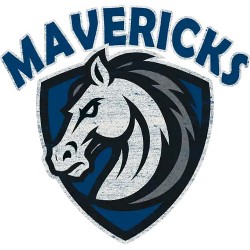 Dallas Mavericks 31