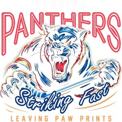 Florida Panthers 16