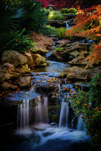 maple falls iii johnny boyd