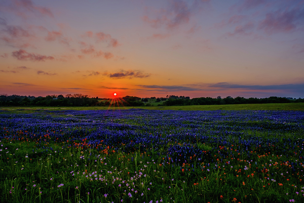 almost gone johnny boyd by Nature Imaging