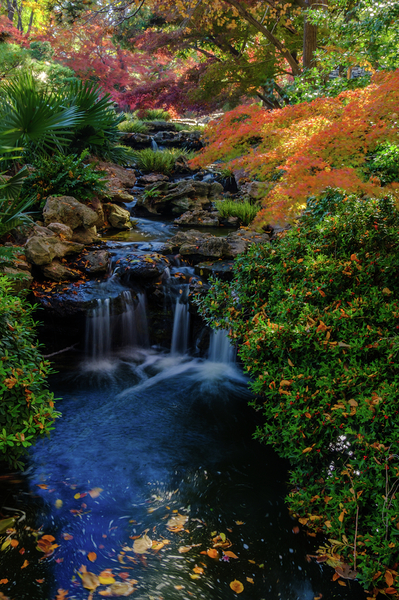 maple falls johnny boyd Print