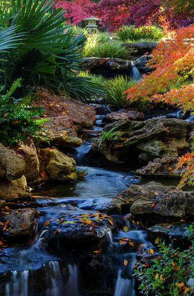 maple falls v johnny boyd Print
