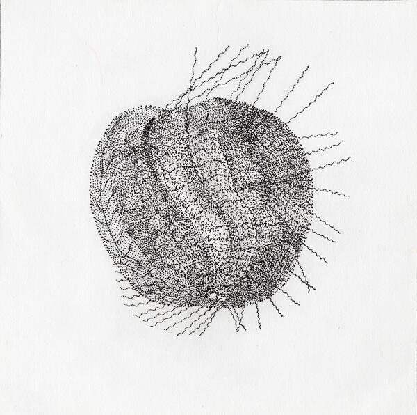 Apple Like Print