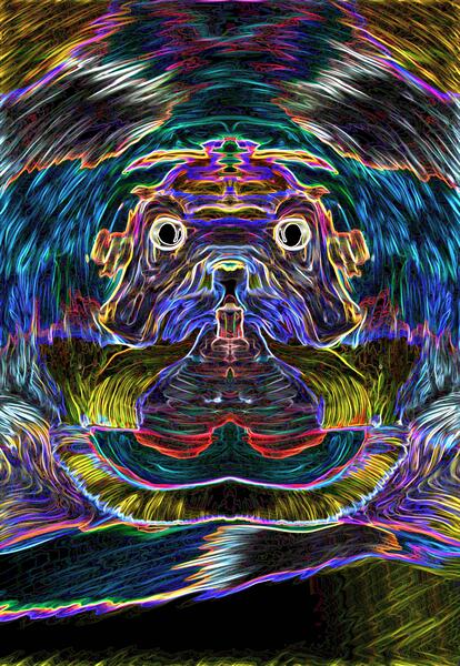 Wise Dog Print
