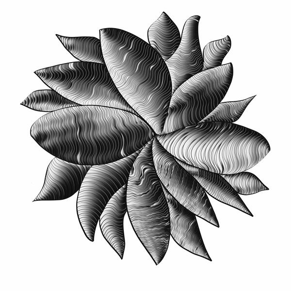 perception 1-1 Print