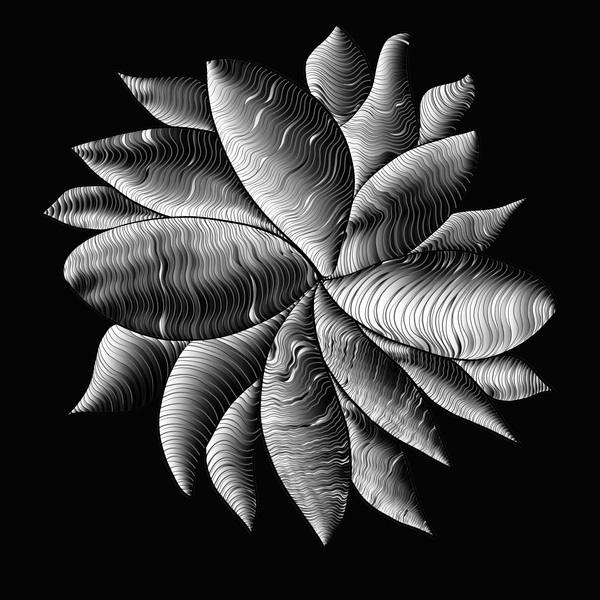 perception 1-2 Print