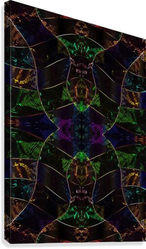 Chromosome X Canvas Print