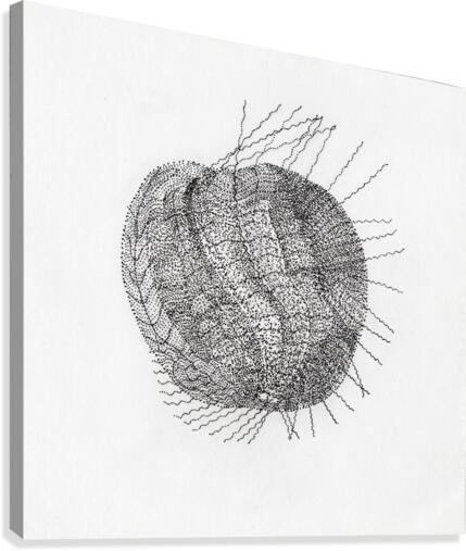Apple Like Canvas Print