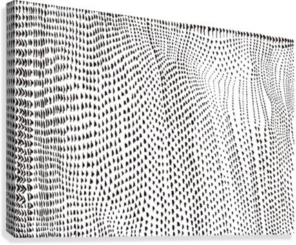  voilage Canvas Print