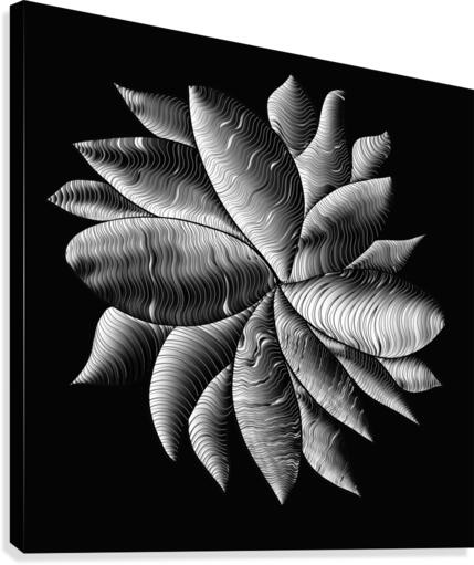perception 1-2 Canvas Print