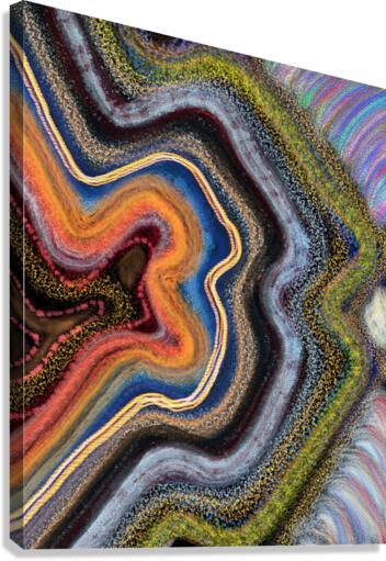 abstract 52 Canvas Print