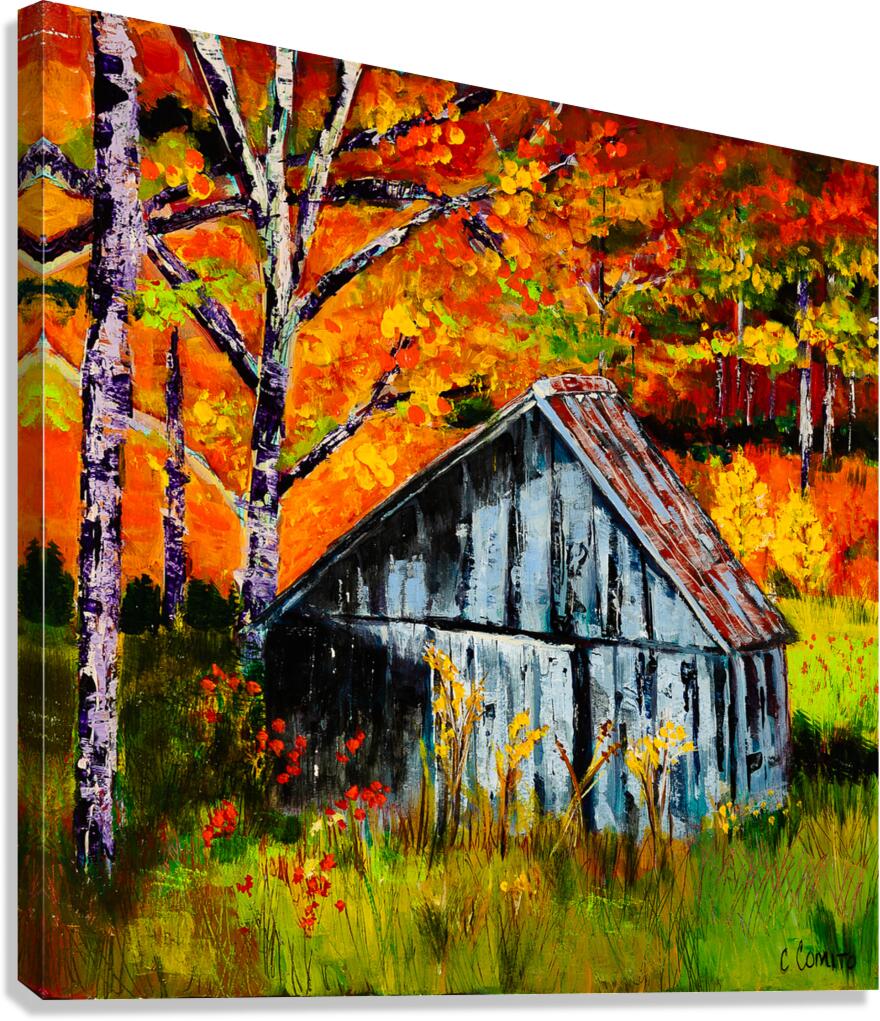 Fall Colors Canvas Print