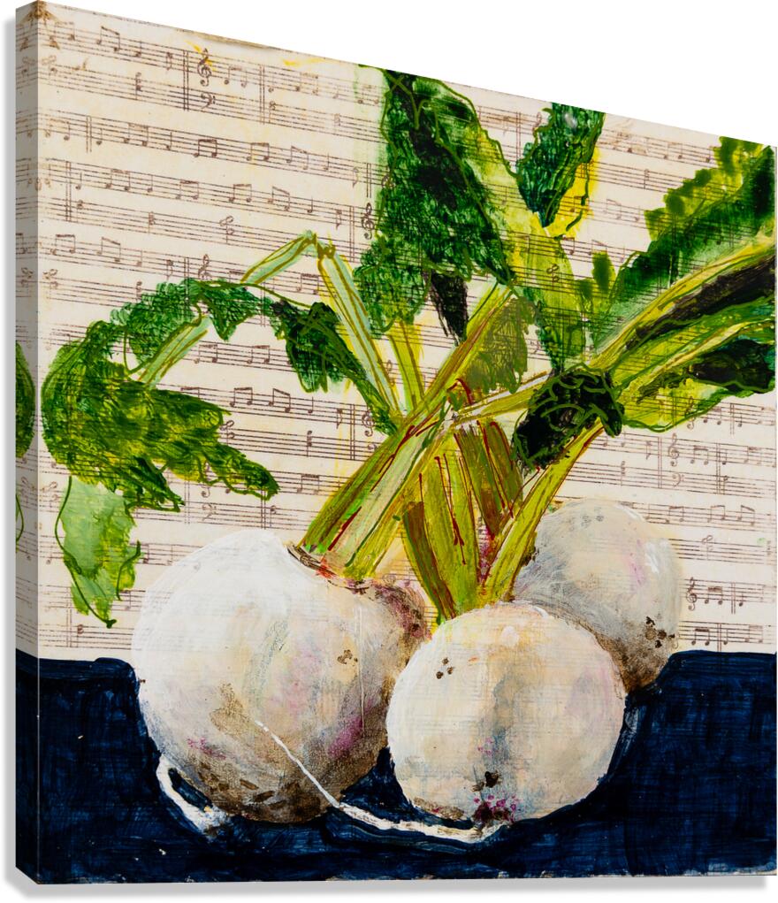 turnips Canvas Print