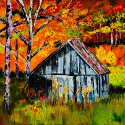 Fall Colors