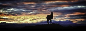 Waiting for the sunrise
