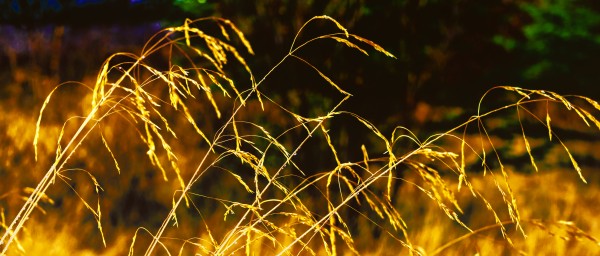 Straws by Pétur Reynisson