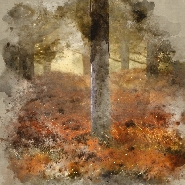 Digital watercolor painting of Beautiful Autumn Fall Winter fore by Matthew Gibson