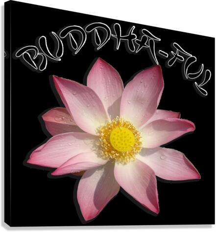 Buddha-ful Canvas Print