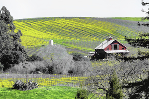 Blue Creek Ranch