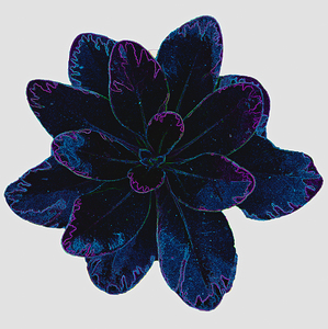 Blue Leaf