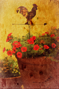 Days Gone By