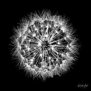 Delicate explosion
