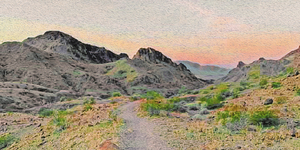 Desert Path