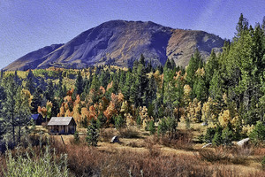 Fall Cabin