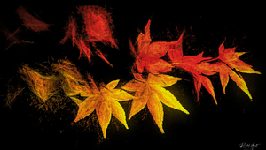 Fall Flame