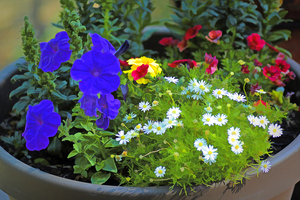 Garden Bouquet