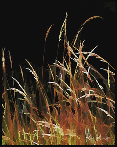 Golden Grass
