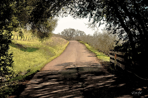 Henry Road Napa Valley