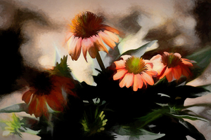 Late Afternoon Light