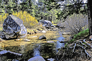 Late Spring Donner Creek