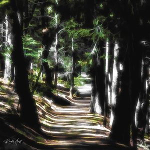Light at the end of the tunnel