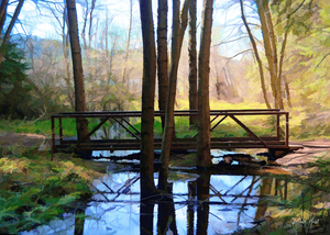 MiWok Creek Foot Bridge