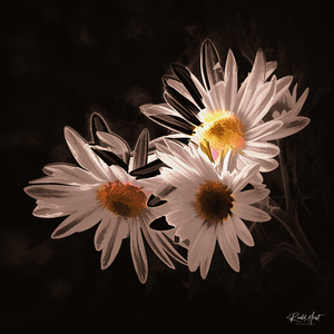 Moonlight Blossoms