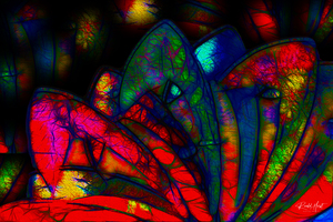 Opalized