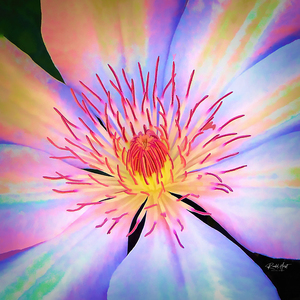 Rainbow Blossom SharpenAI Standard