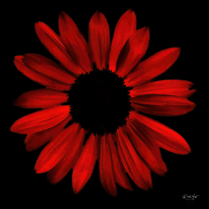 Red Sunflower pic SharpenAI Motion