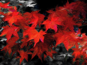 Romantic Red