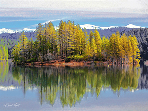 Sly Park Lake Island