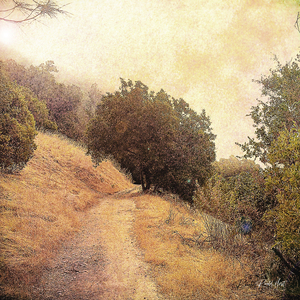 Smokey Trail