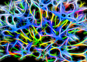 Star Fibers
