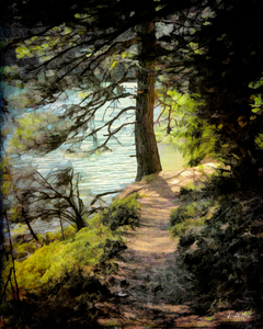 The Narrows Trail