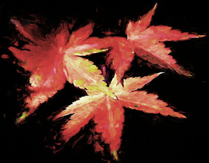 Three Leaves