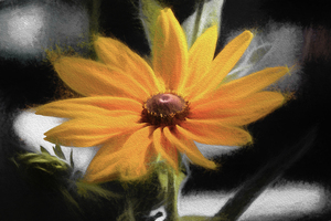 Yellow Flower